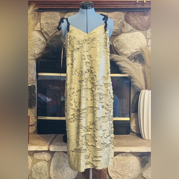 J.Crew Desert Canyon Tie Sequin Dress NWT - Picture 3 of 8